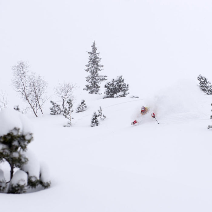 10 almindelige fejl i lavineterræn - Steep & Deep
