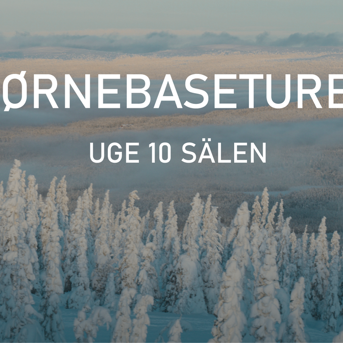 BØRNEBASETUREN uge 10 i Sälen