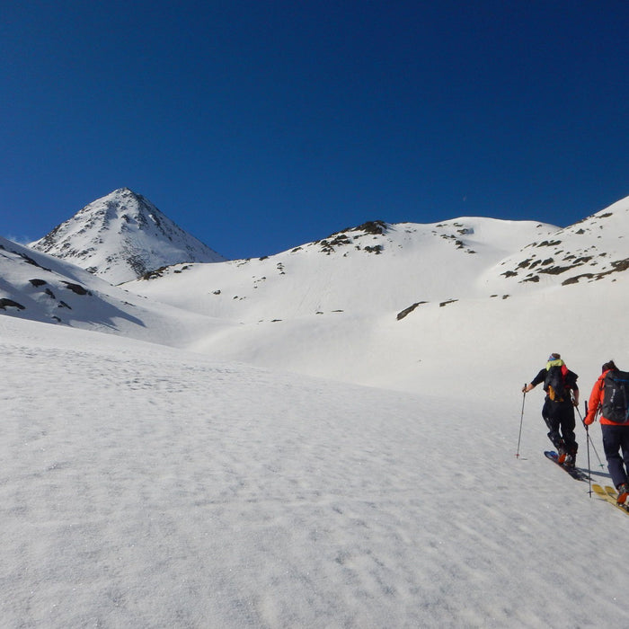 Flere ekspert tips til lavinesikkerhed - Steep & Deep