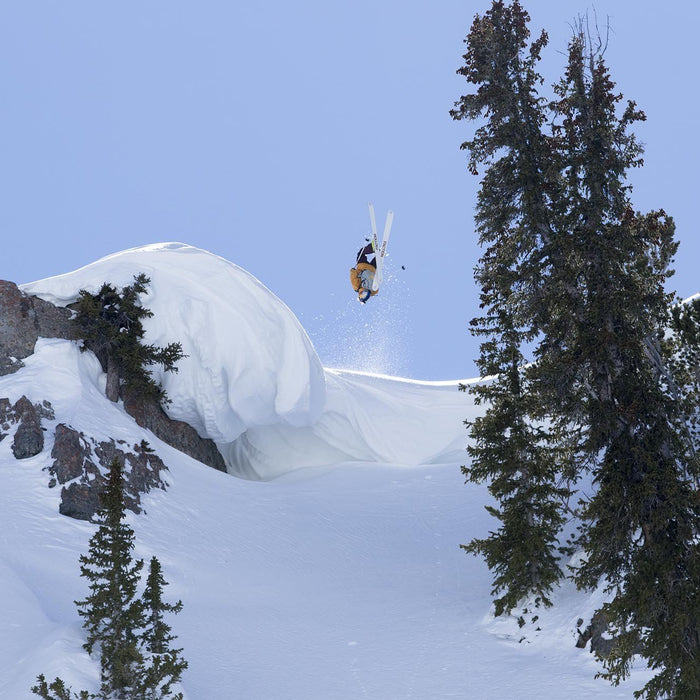 Valg af ski – Vælg de rigtige ski - Steep & Deep