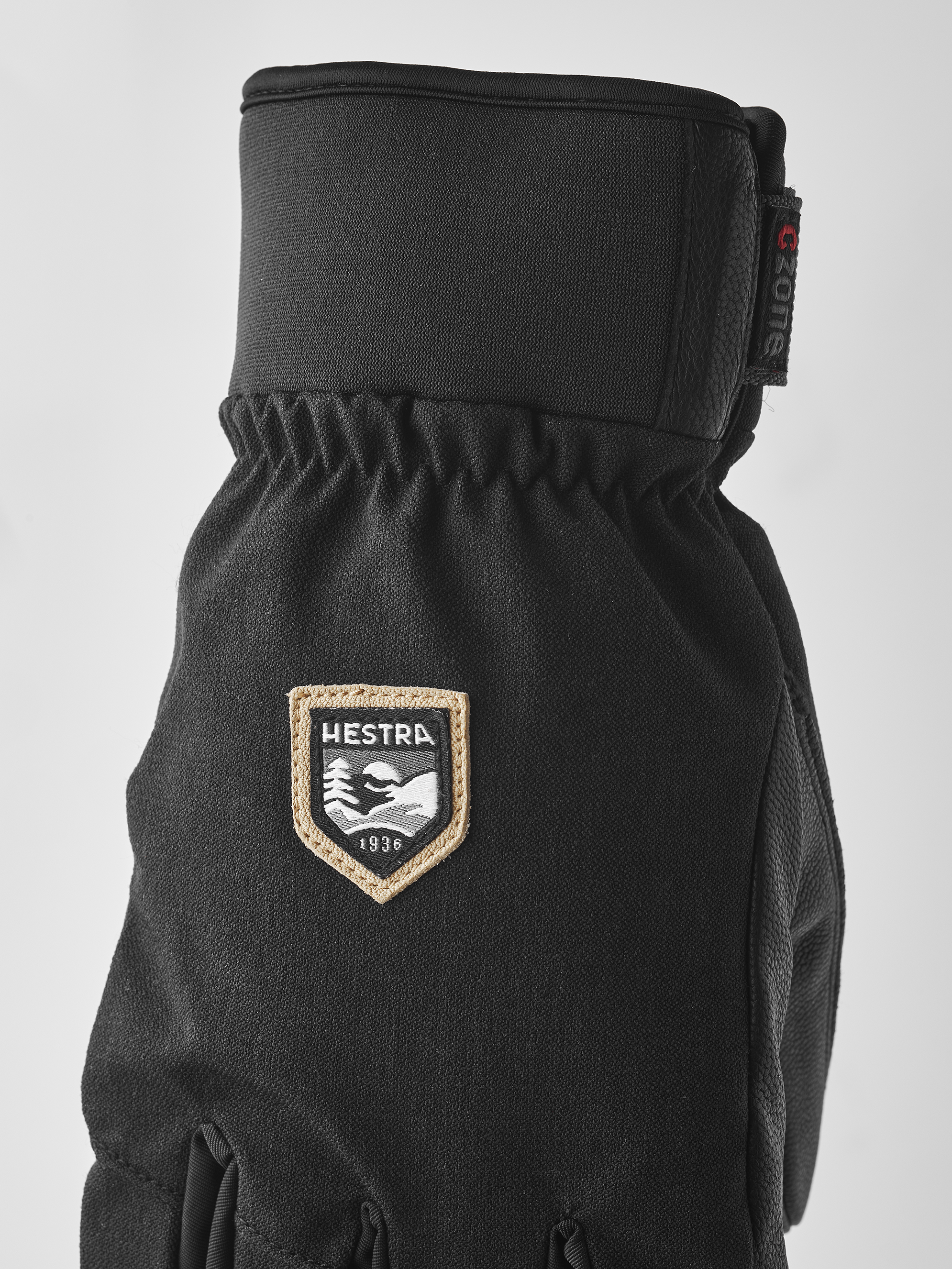 Hestra CZone Alpine - 5 finger Black