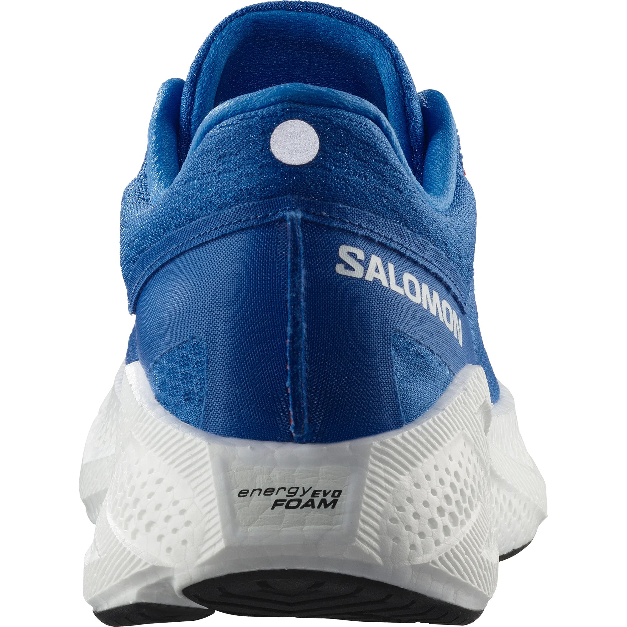 Salomon AERO GLIDE 3 French Blue/White/Chert