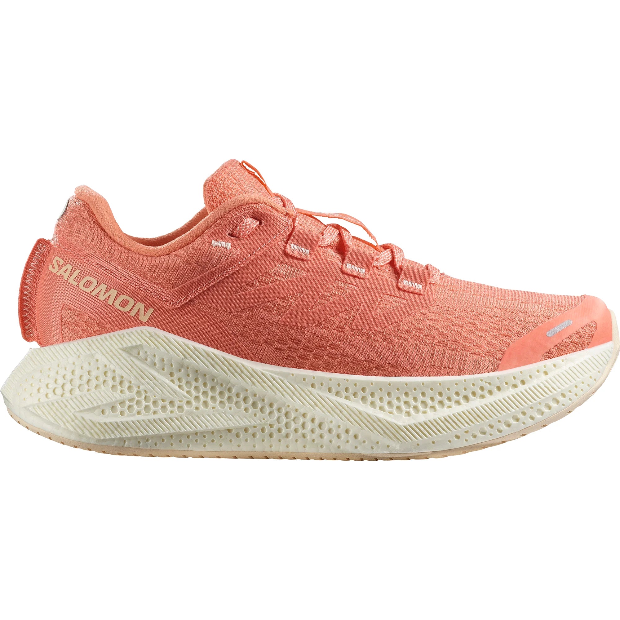 Salomon AERO GLIDE 3 W Fuco/Vanila/Tender