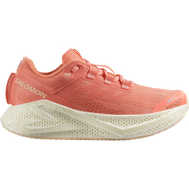 Salomon AERO GLIDE 3 W Fuco/Vanila/Tender