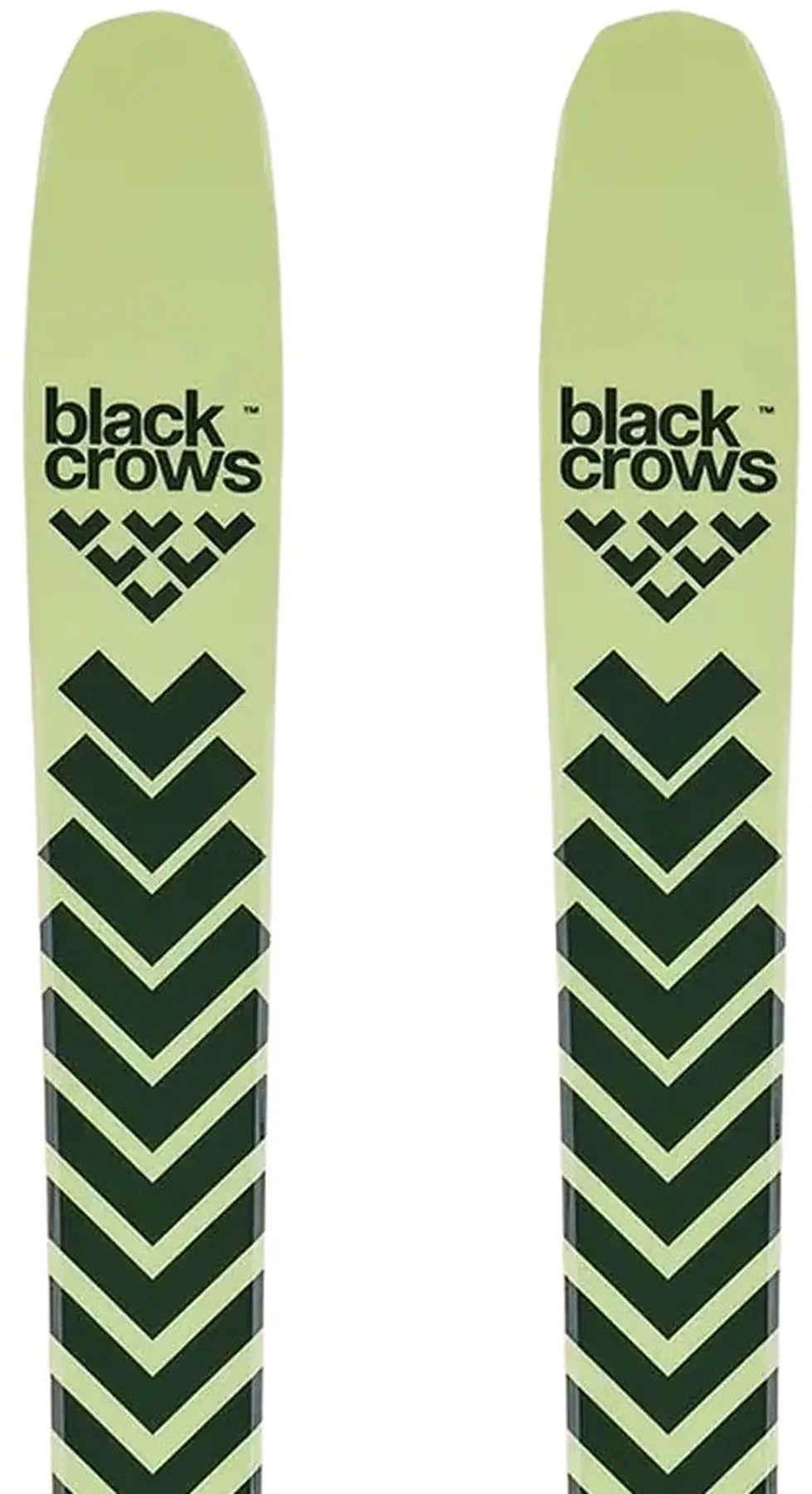 Black Crows Anima