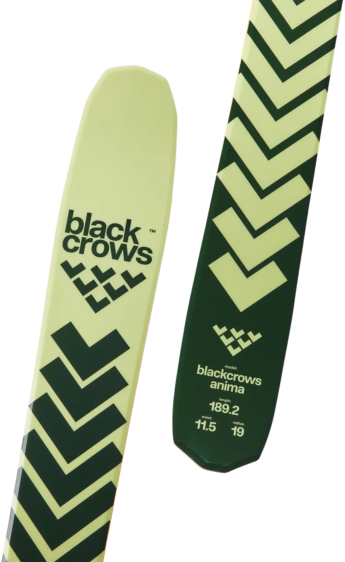Black Crows Anima