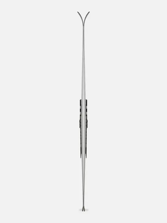 RACETIGER GS MASTER WC-PLATE + COMP 16 GW